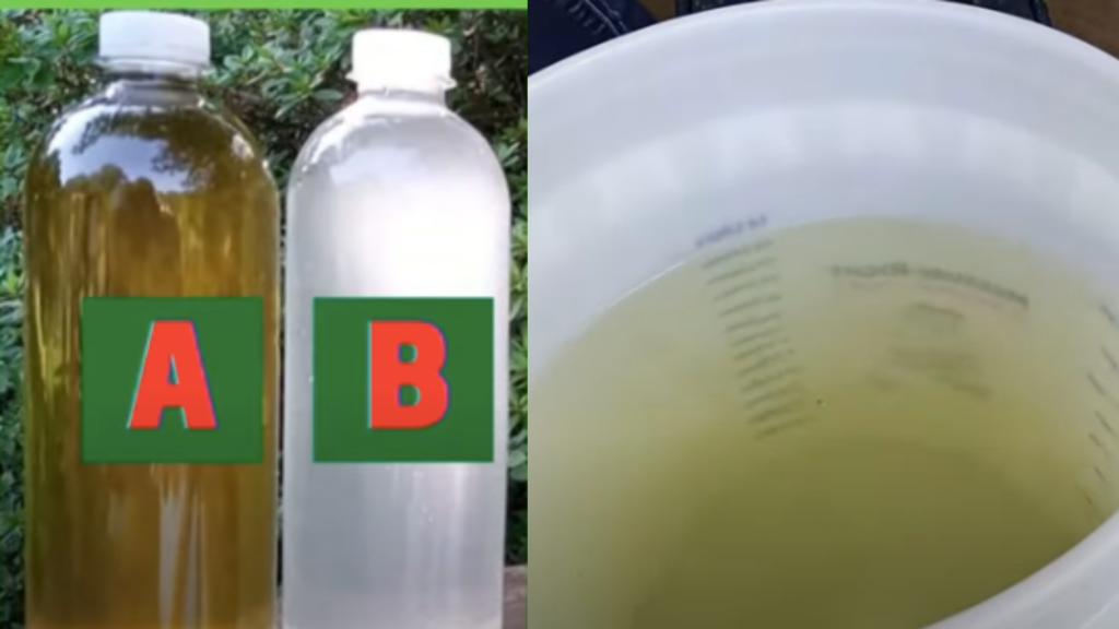 Hydroponic Fertilizer Liquid: Into the World of Soilless Gardening